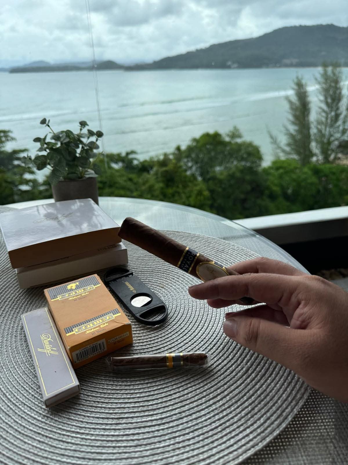 Cigars laid out with a sea view